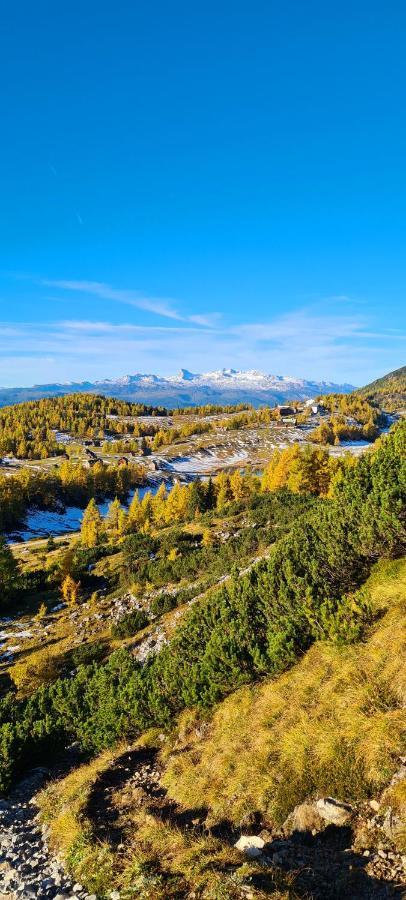 Ferienwohnungen Bergpanorama Bad Mitterndorf Kültér fotó