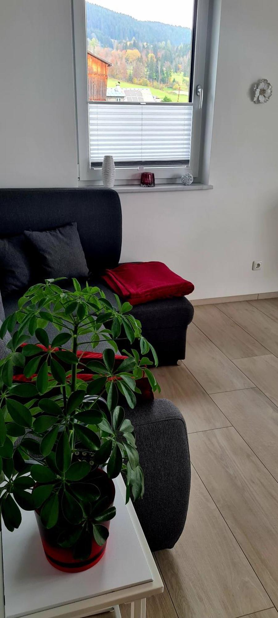 Ferienwohnungen Bergpanorama Bad Mitterndorf Szoba fotó